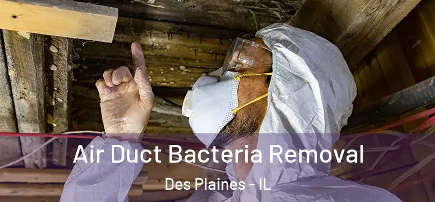  Air Duct Bacteria Removal Des Plaines - IL