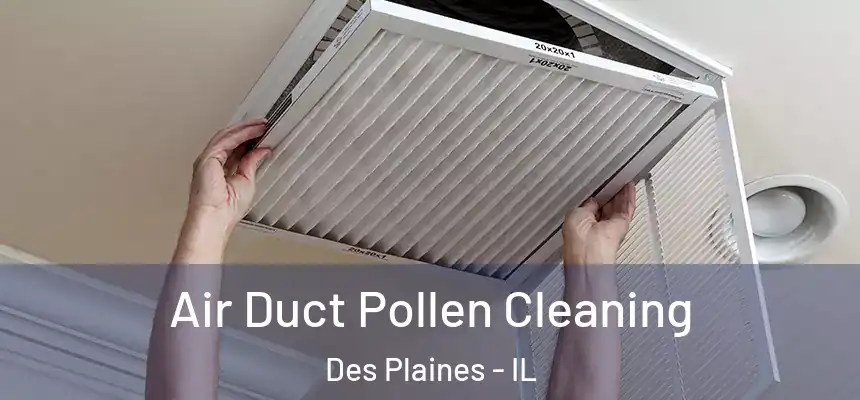  Air Duct Pollen Cleaning Des Plaines - IL