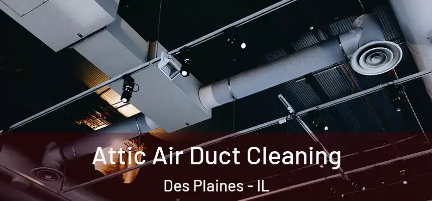  Attic Air Duct Cleaning Des Plaines - IL