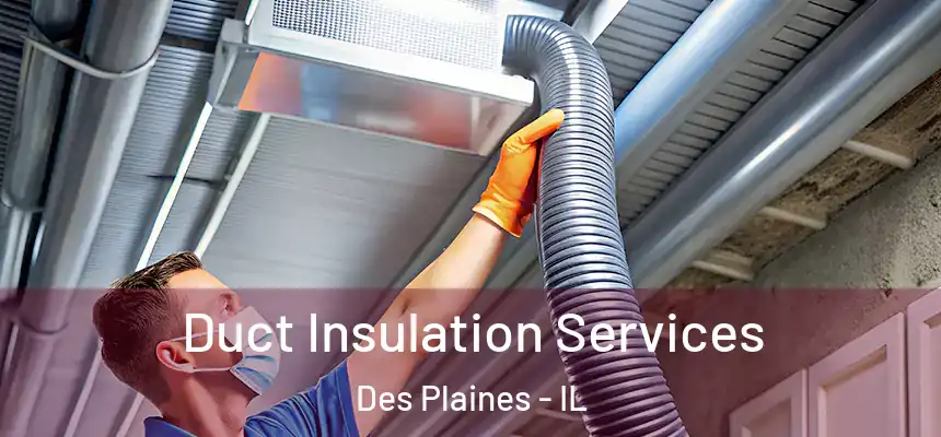 Duct Insulation Services Des Plaines - IL
