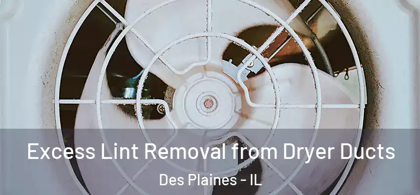  Excess Lint Removal from Dryer Ducts Des Plaines - IL