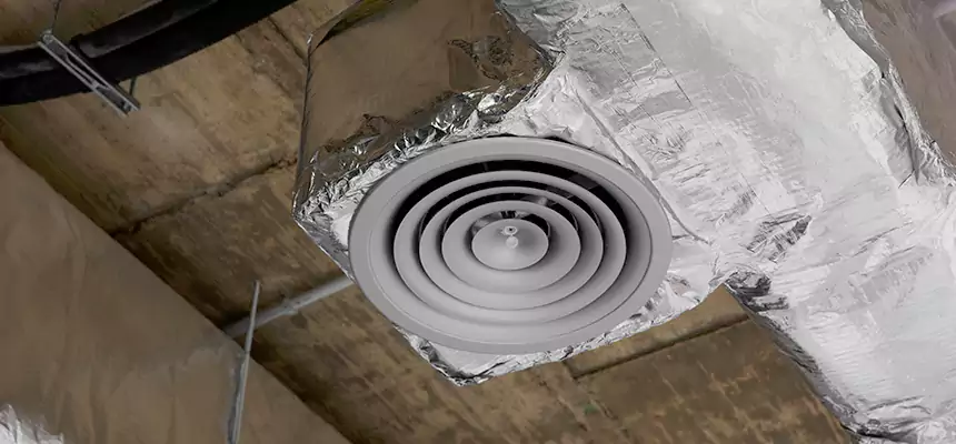 Our Excess Lint Removal from Dryer Ducts Services in Des Plaines, IL