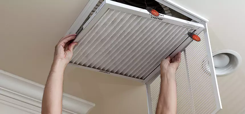 Our Insect Removal from Air Ducts Services in Des Plaines, IL