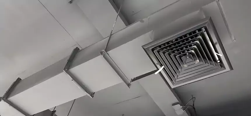 Our Rodent Droppings In Vents Services in Des Plaines, IL