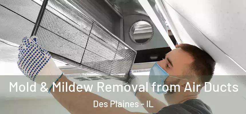  Mold & Mildew Removal from Air Ducts Des Plaines - IL