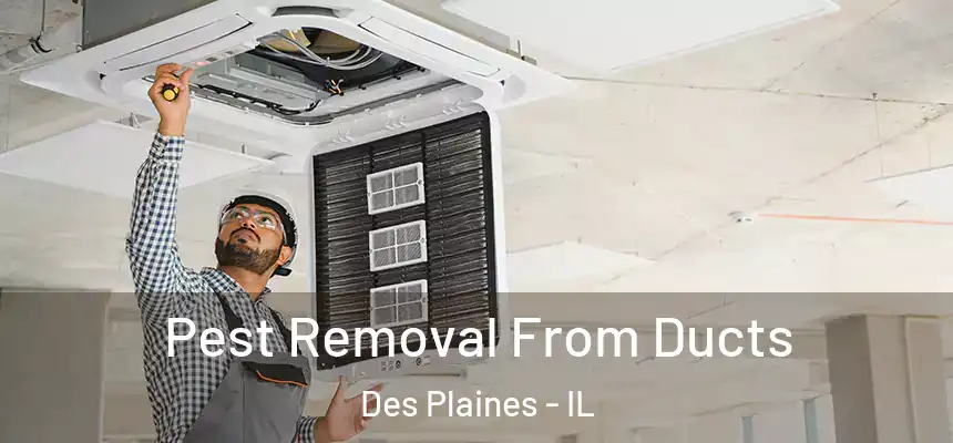  Pest Removal From Ducts Des Plaines - IL