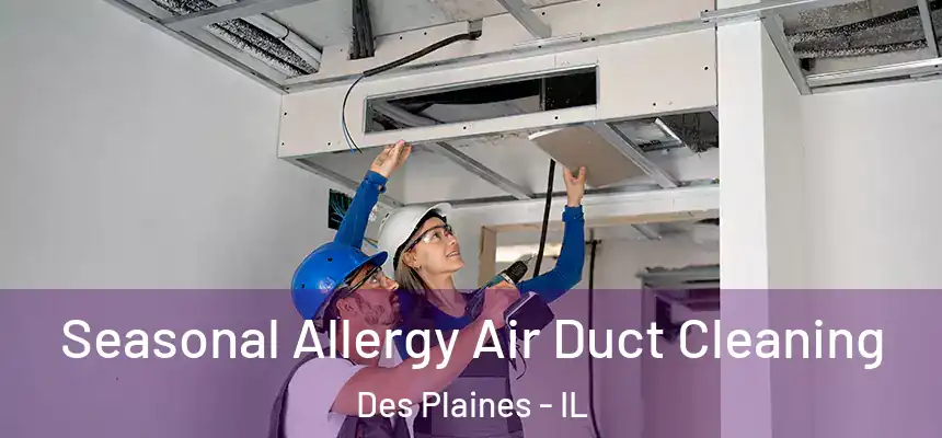  Seasonal Allergy Air Duct Cleaning Des Plaines - IL