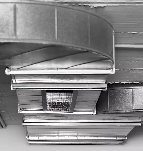 Professional Air Duct Pet Hair Removal in Des Plaines, IL