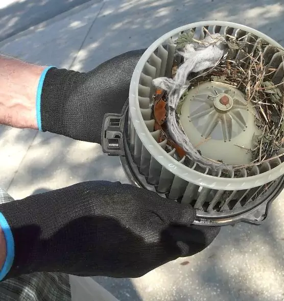 About Air Duct Rat Removal in Des Plaines, IL