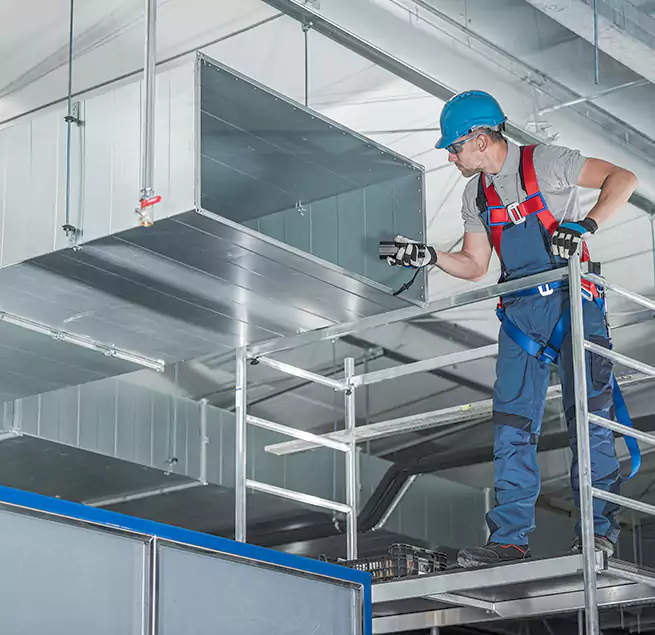 Why Homeowners & Businesses Trust Us in Des Plaines, IL?