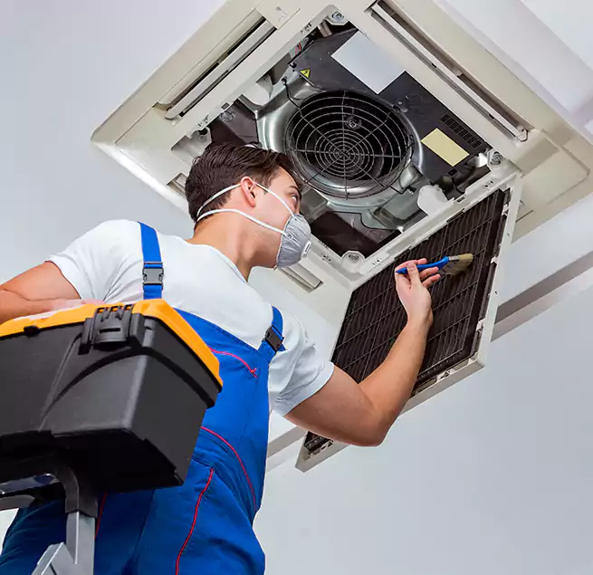 Why Homeowners & Businesses Trust Us in Des Plaines, IL