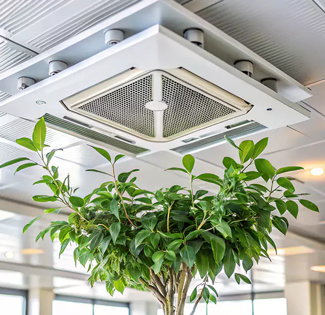 Why Homeowners & Businesses Trust Us in Des Plaines, IL?