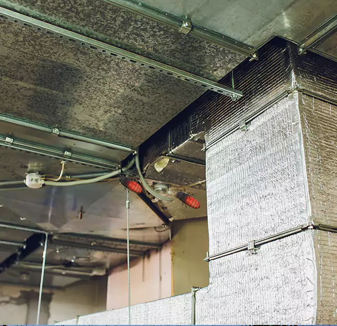 Why Homeowners & Businesses Trust Us Des Plaines, IL?