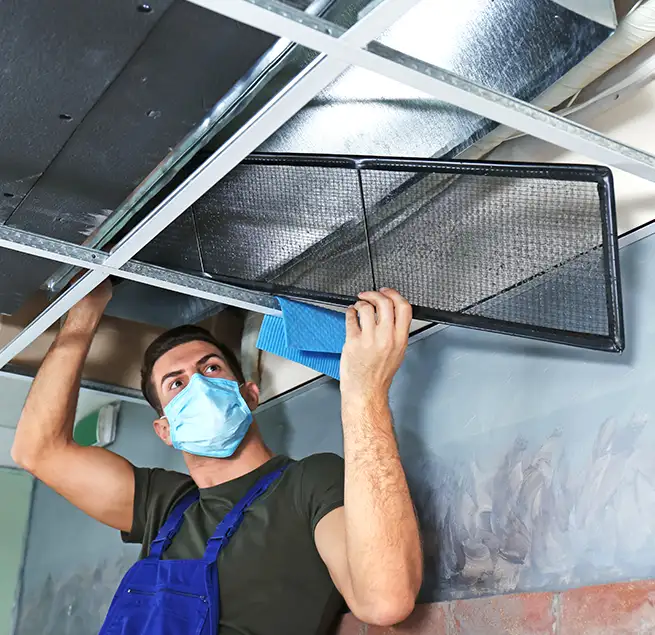 Why Homeowners & Businesses Trust Us in Des Plaines, IL?